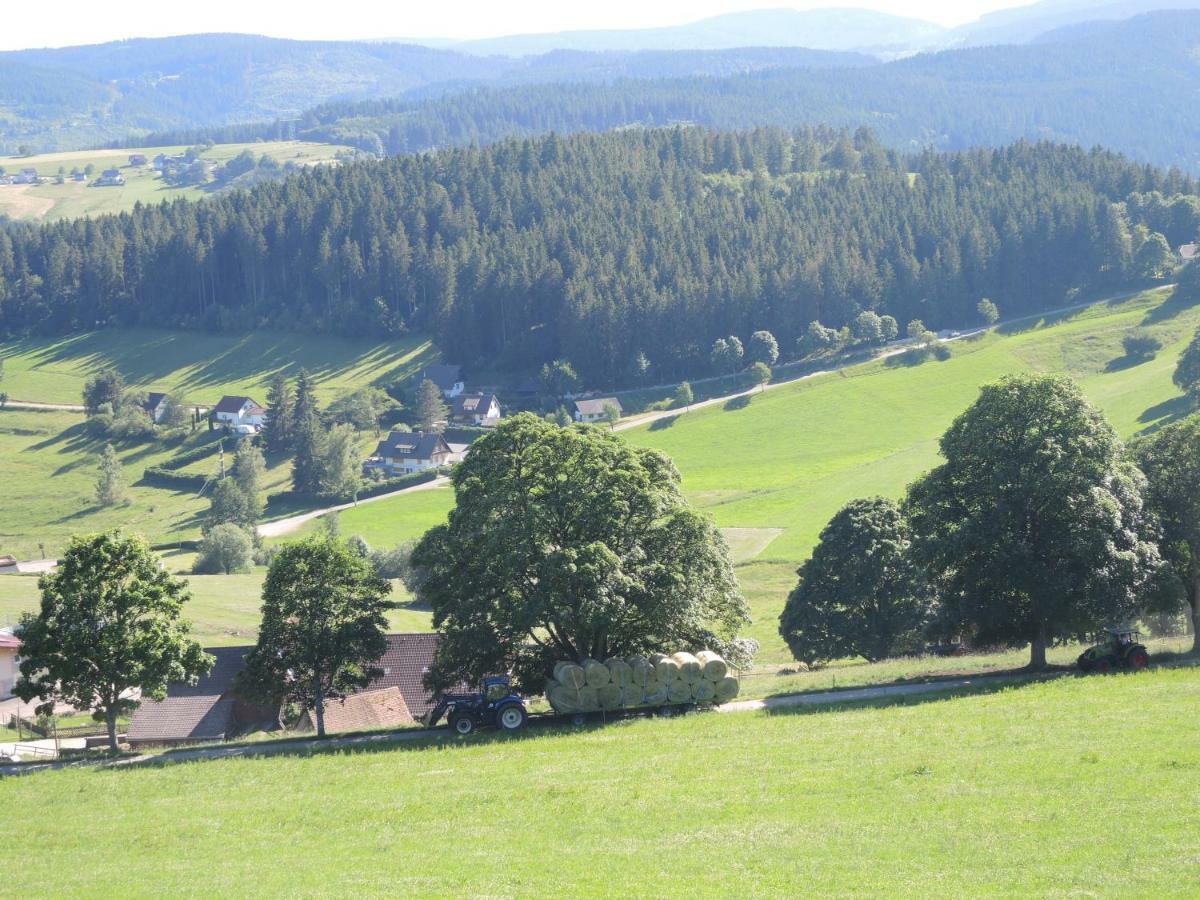 Ferienwohnung Saig Lenzkirch Luaran gambar